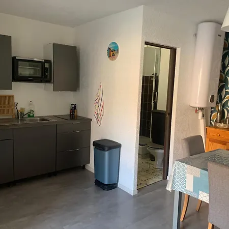 아파트 Refait Neuf ,4 Pers, Terrasse, Parking Prive, Climatisation, Wifi, Television 르발카레스