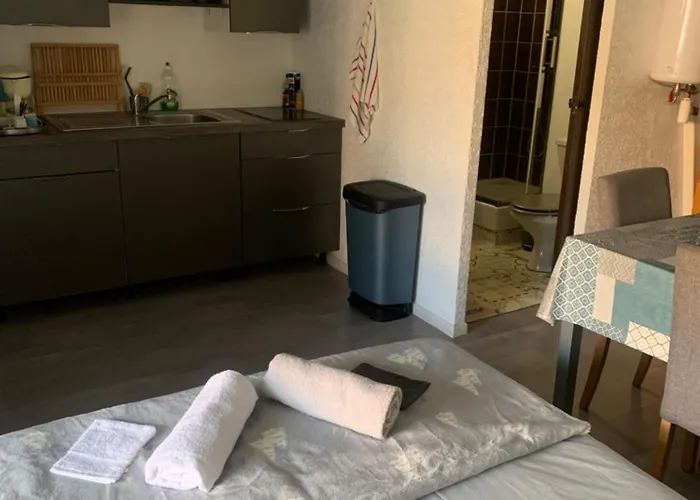 Refait Neuf ,4 Pers, Terrasse, Parking Prive, Climatisation, Wifi, Television