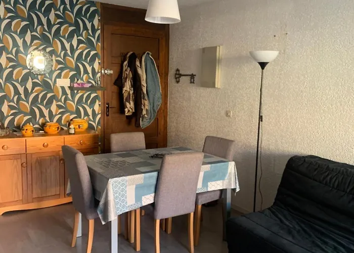 Refait Neuf ,4 Pers, Terrasse, Parking Prive, Climatisation, Wifi, Television *